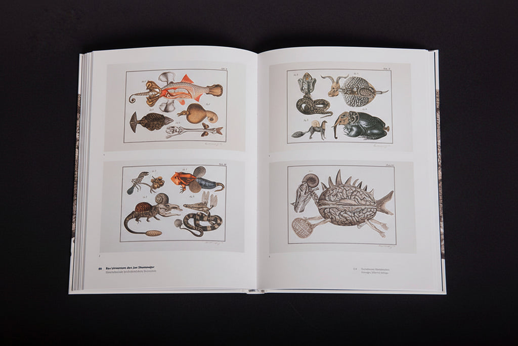 Das Universum des Jan Švankmajer