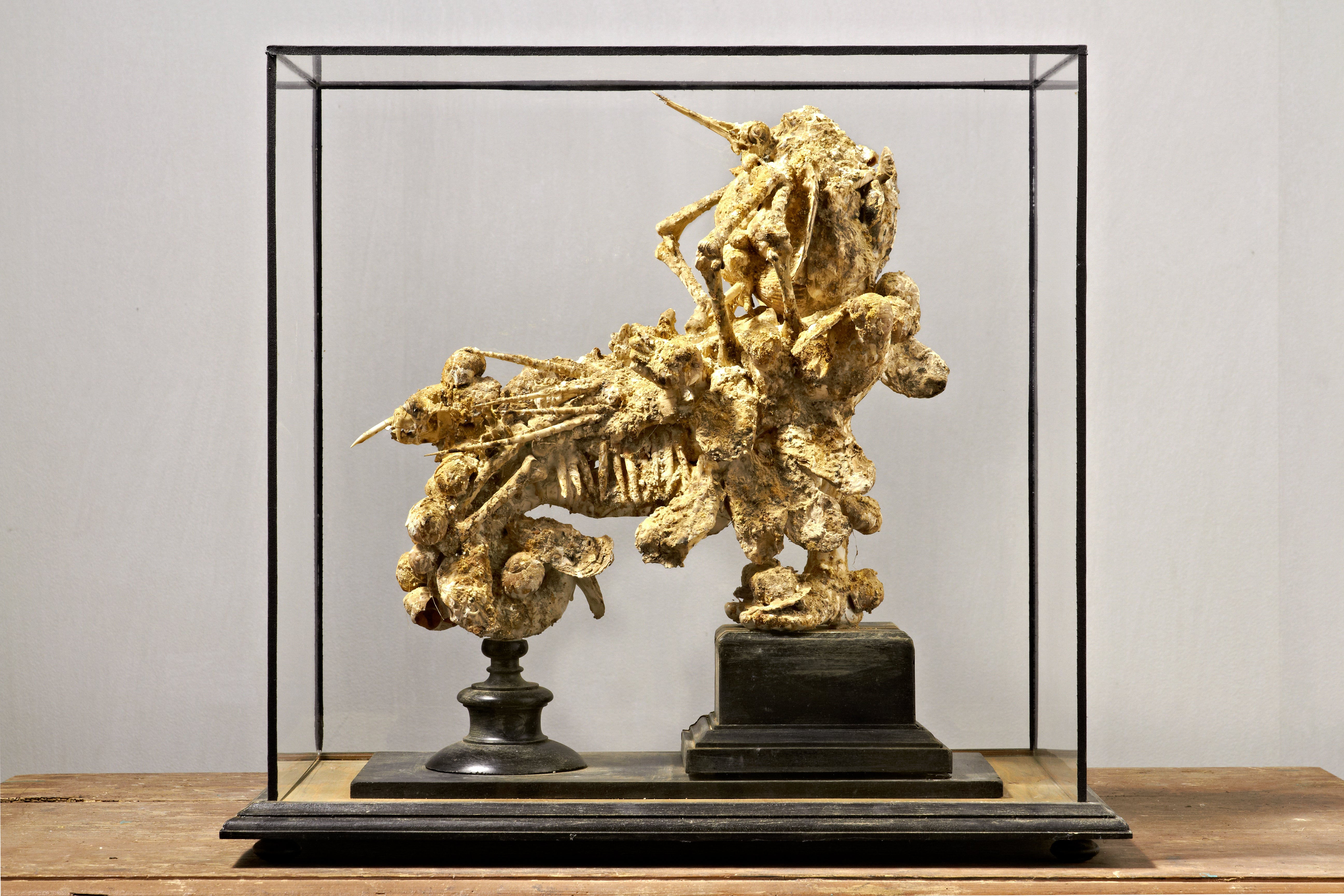 Svankmajer.art | The Official e-shop of Jan Švankmajer and his