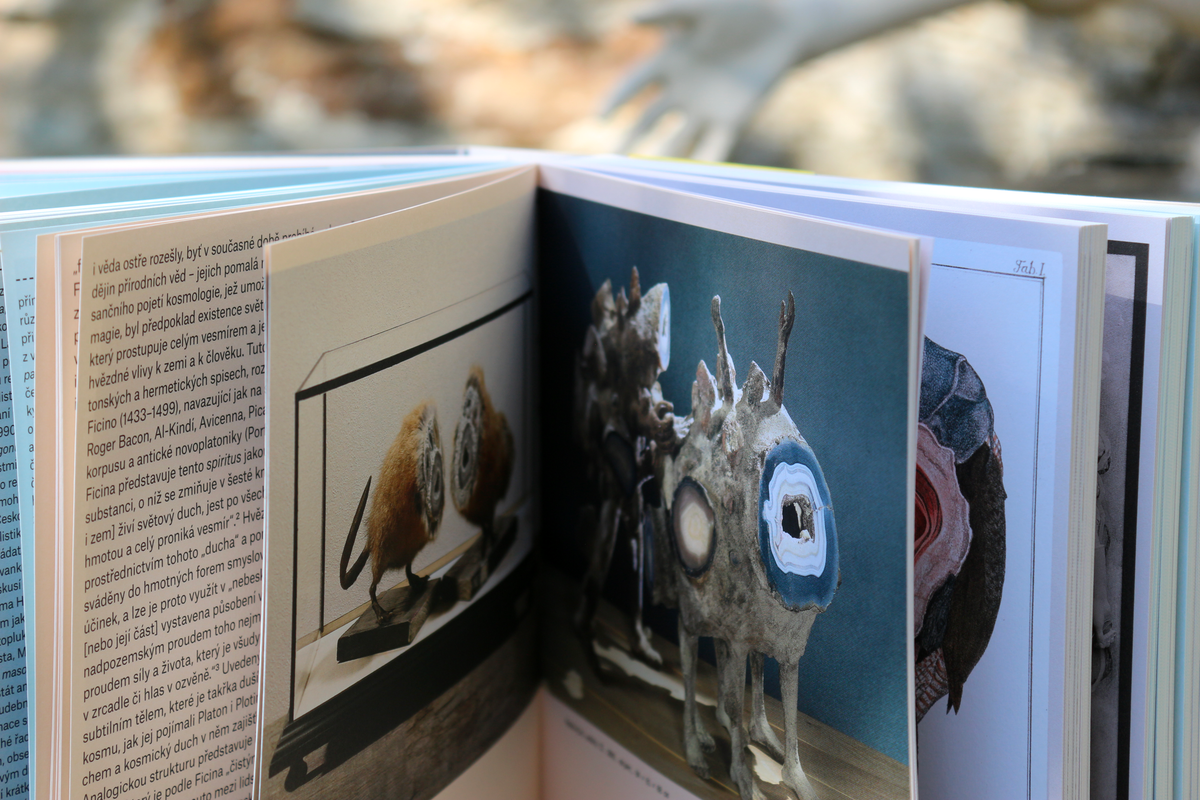Jan Švankmajer. Dimensions of Dialogue / Between Film and Fine Art