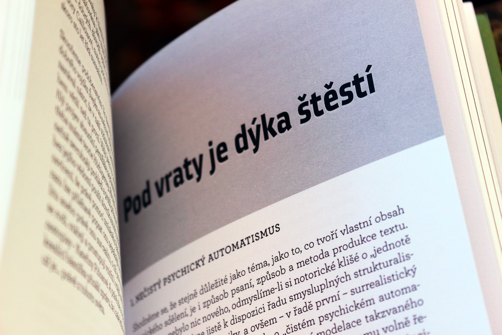Surrealismus vžitný