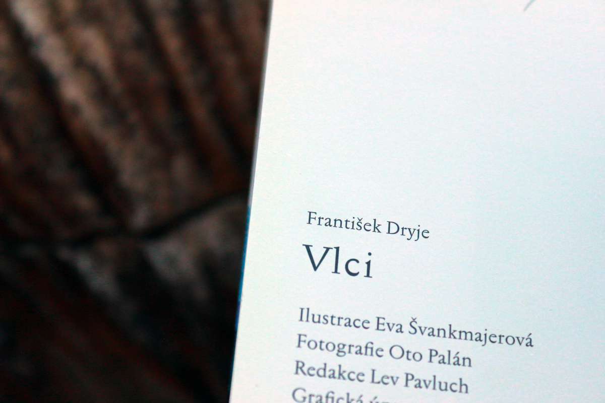 Vlci