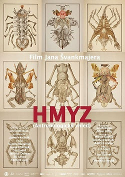 Plakát Hmyz
