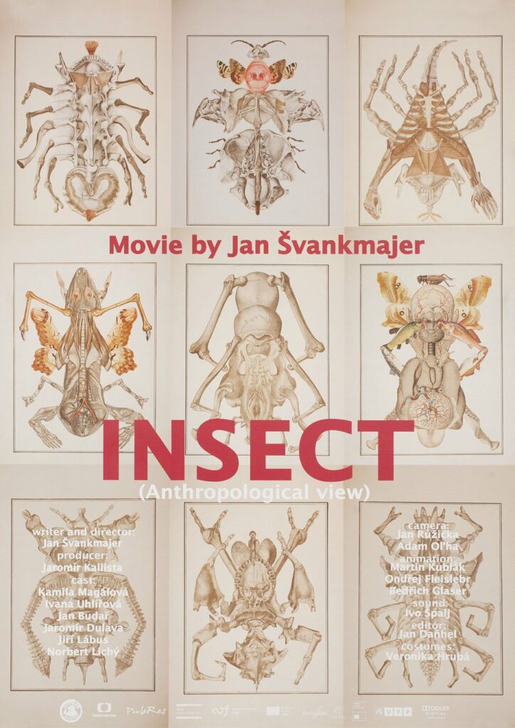 Poster Insects