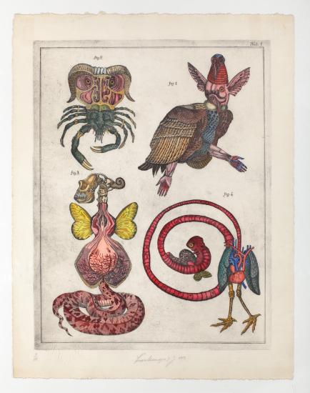Historia Naturae Tab 1