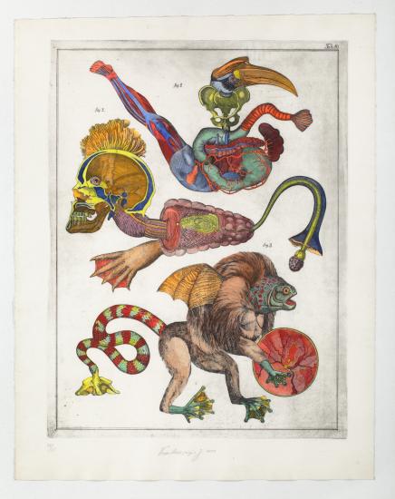 Historia Naturae Tab 10